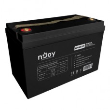 Аккумуляторная батарея Njoy GP10012FF 12V (BTVACAHOCEG2FCN01B) VRLA    
